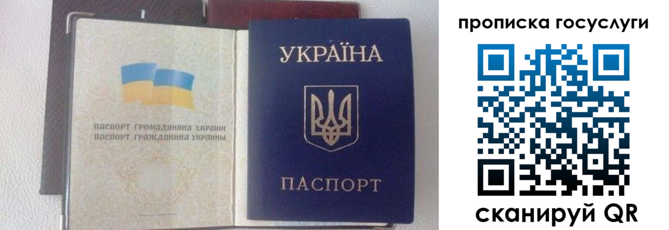 временная регистрация недорого в Коле